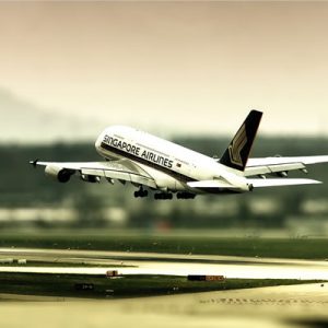 国际海运运输包装的四个重要原因